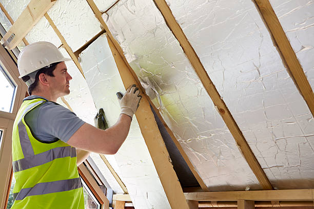 Best Attic Insulation Installation  in Dublin, OH